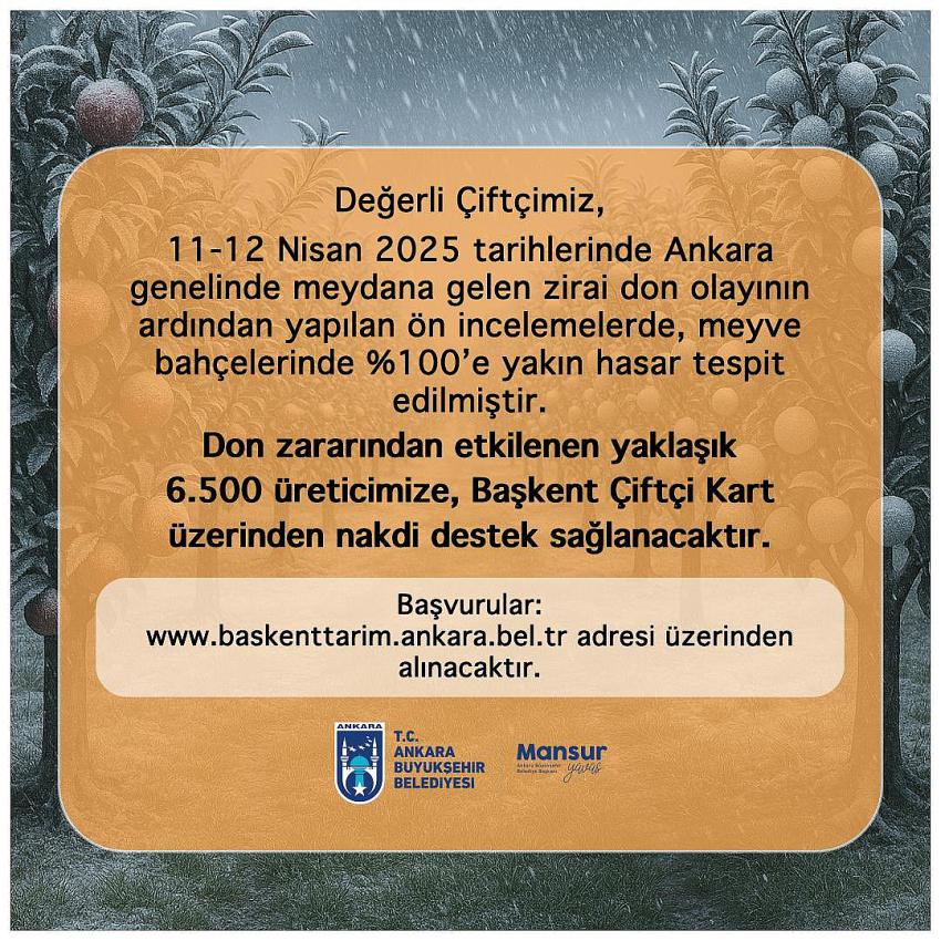Kategori Haberleri